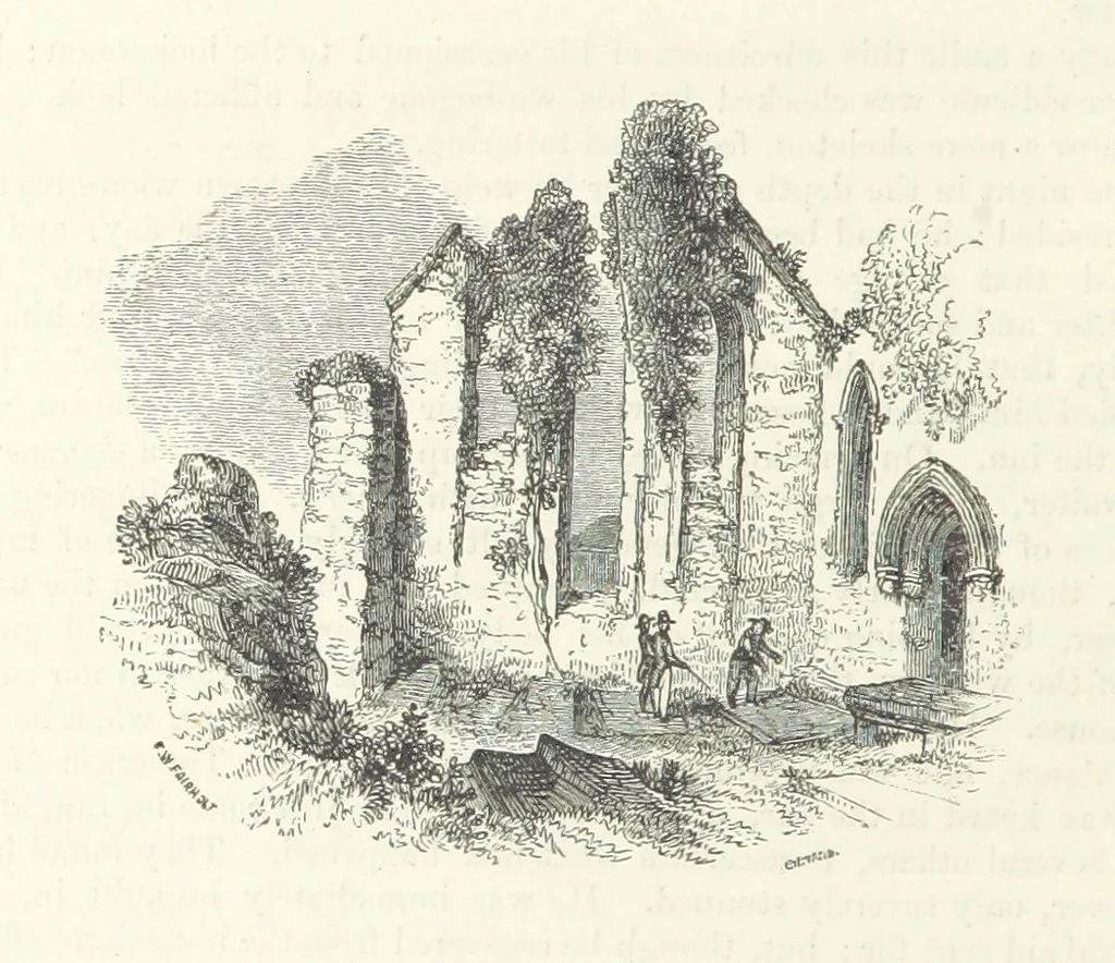 An illustration from Traits and Stories of the Irish Peasantry ... Fourth edition, 1876, leaf 88