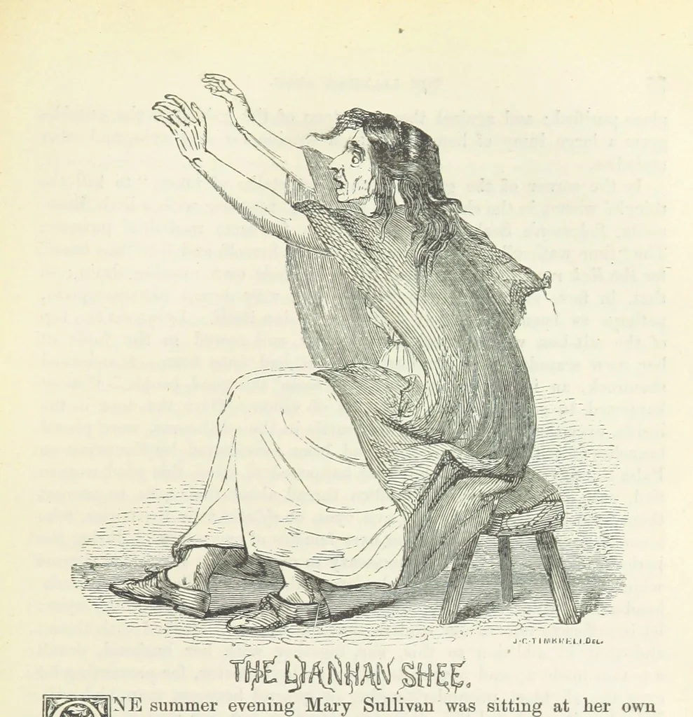 An illustration from Traits and Stories of the Irish Peasantry ... Fourth edition, 1876, leaf 89