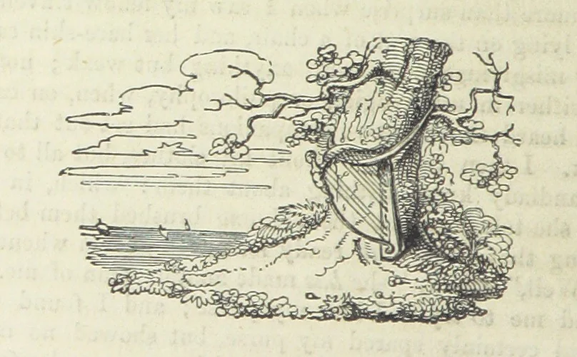 An illustration from Traits and Stories of the Irish Peasantry ... Fourth edition, 1881, leaf 142