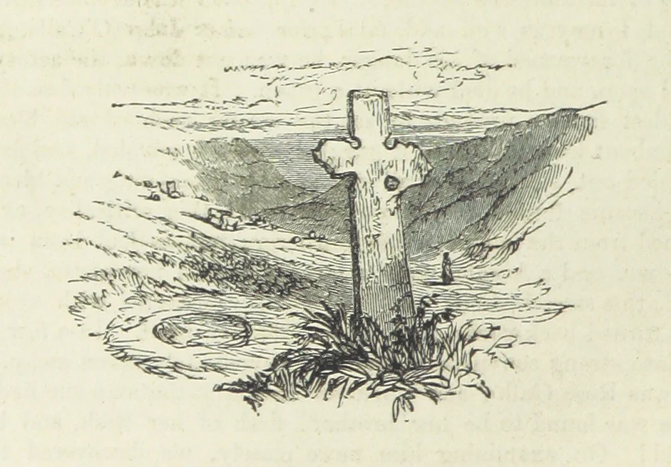 An illustration from Traits and Stories of the Irish Peasantry ... Fourth edition, 1881, leaf 314