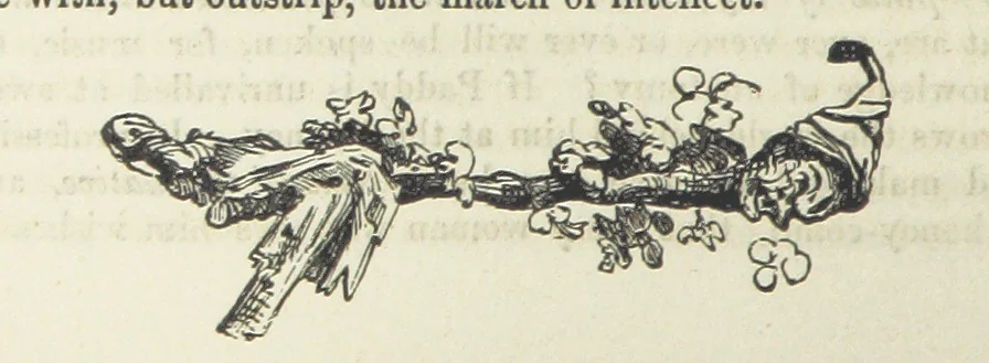 An illustration from Traits and Stories of the Irish Peasantry ... Fourth edition, 1881, leaf 502