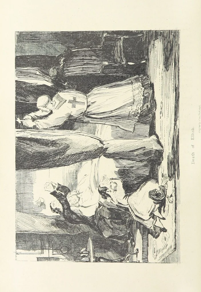 An illustration from Traits and Stories of the Irish Peasantry ... Fourth edition, 1881, leaf 542