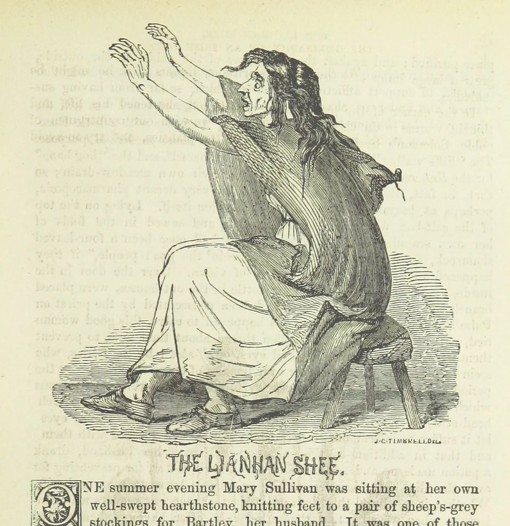 An illustration from Traits and Stories of the Irish Peasantry ... Fourth edition, 1881, leaf 567