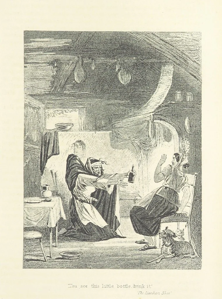 An illustration from Traits and Stories of the Irish Peasantry ... Fourth edition, 1881, leaf 575