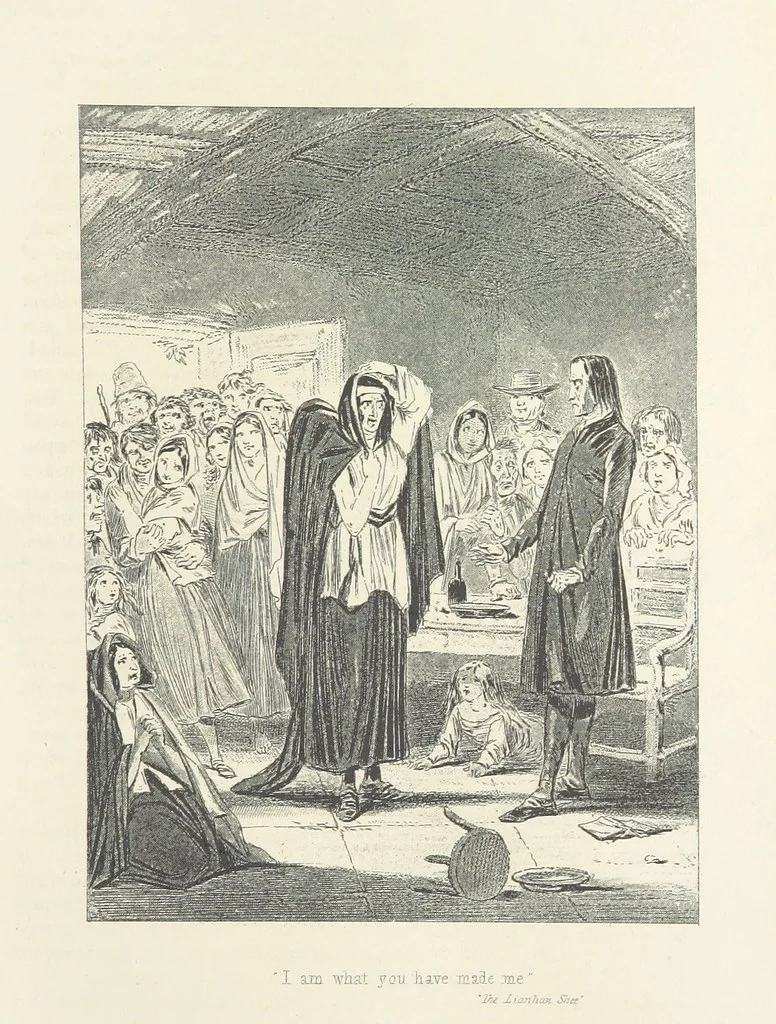 An illustration from Traits and Stories of the Irish Peasantry ... Fourth edition, 1881, leaf 587