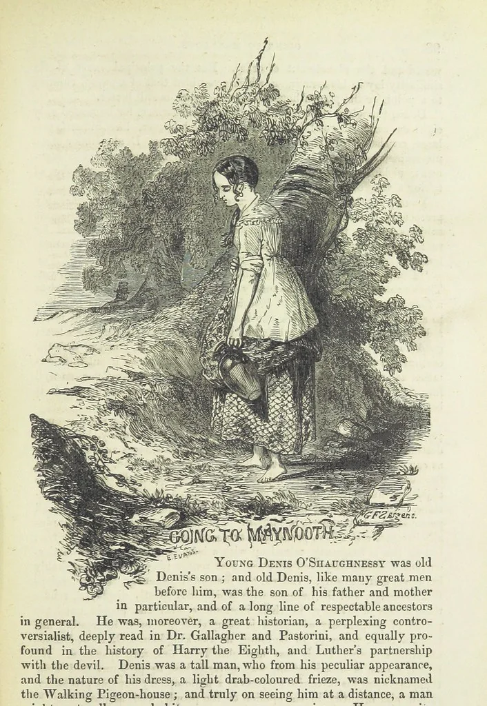 An illustration from Traits and Stories of the Irish Peasantry ... Fourth edition, 1881, leaf 593