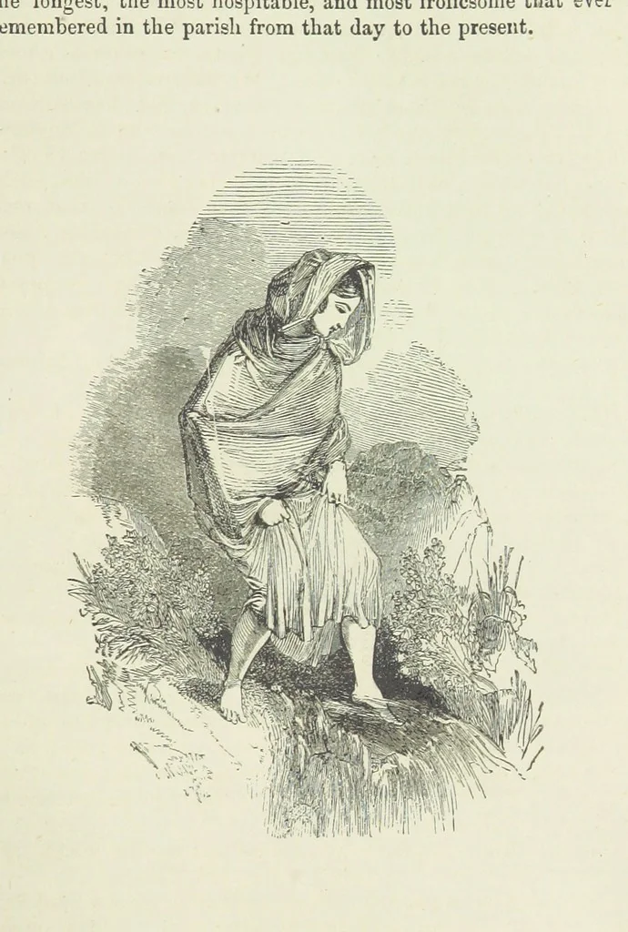 An illustration from Traits and Stories of the Irish Peasantry ... Fourth edition, 1881, leaf 687