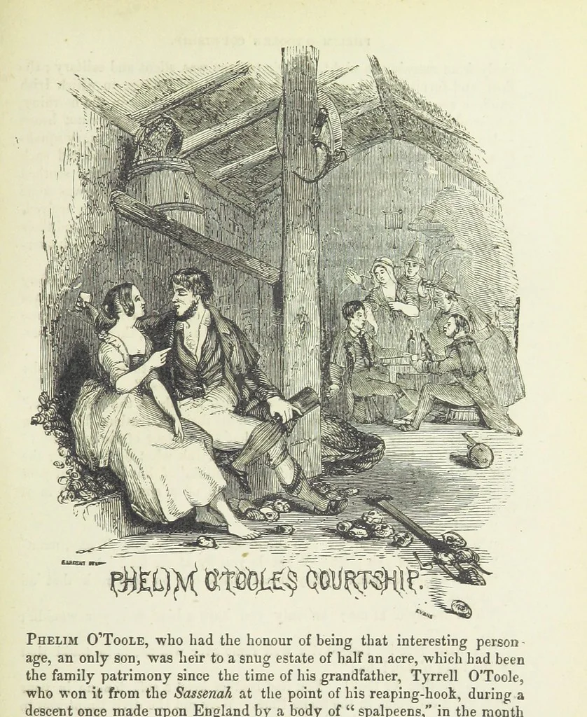 An illustration from Traits and Stories of the Irish Peasantry ... Fourth edition, 1881, leaf 689