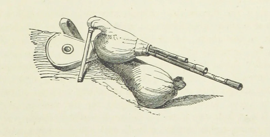 An illustration from Traits and Stories of the Irish Peasantry ... Fourth edition, 1881, leaf 775