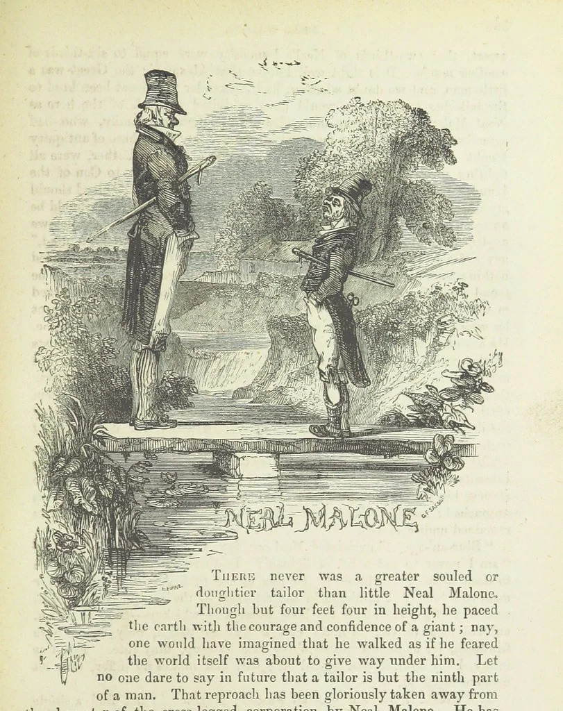 An illustration from Traits and Stories of the Irish Peasantry ... Fourth edition, 1881, leaf 873