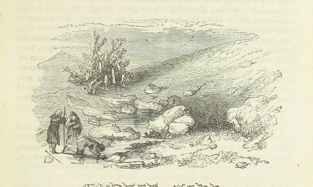 An illustration from Traits and Stories of the Irish Peasantry ... Fourth edition, 1881, leaf 891