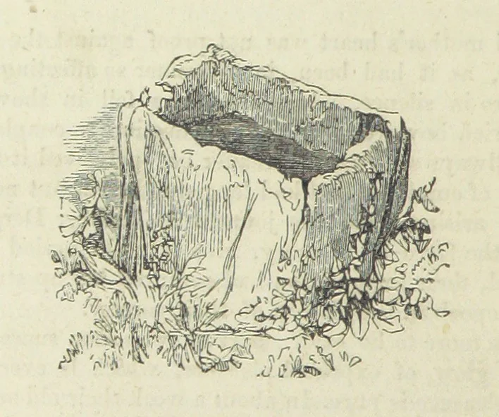 An illustration from Traits and Stories of the Irish Peasantry ... Fourth edition, 1881, leaf 944