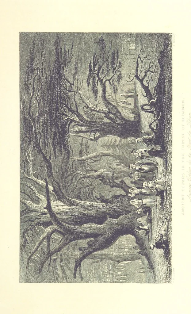 An illustration from Syria, the Holy Land, Asia Minor, &c., illustrated. In a series of views drawn from nature by W. H. Bartlett, William Purser (Thomas Allom), &c. With descriptions of the plates by J. Carne. [With maps, 1853, leaf 105