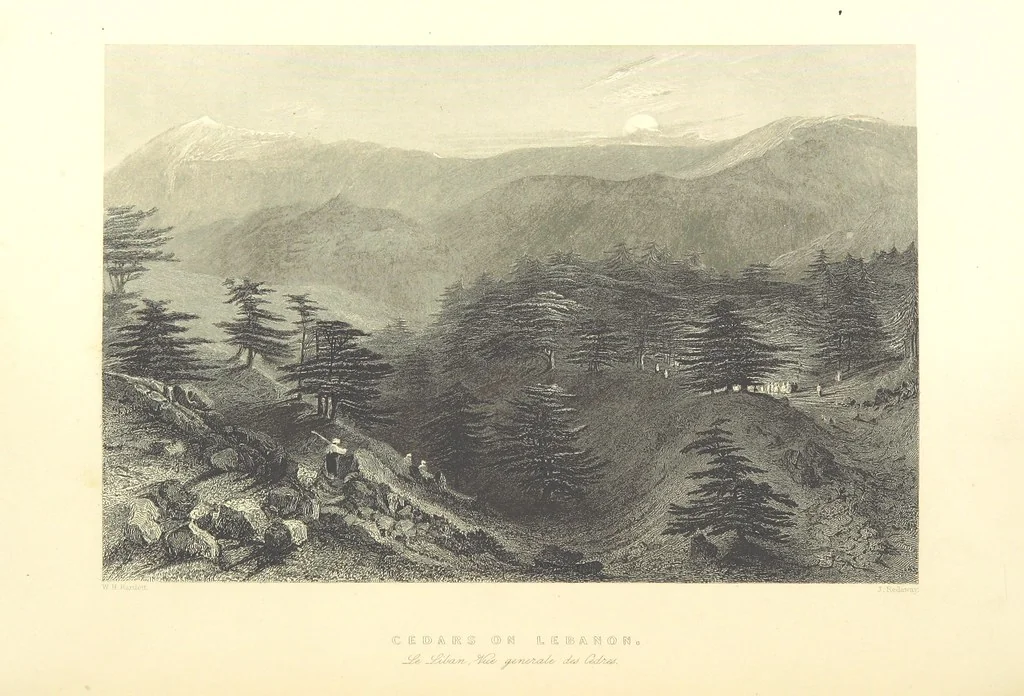 An illustration from Syria, the Holy Land, Asia Minor, &c., illustrated. In a series of views drawn from nature by W. H. Bartlett, William Purser (Thomas Allom), &c. With descriptions of the plates by J. Carne. [With maps, 1853, leaf 140
