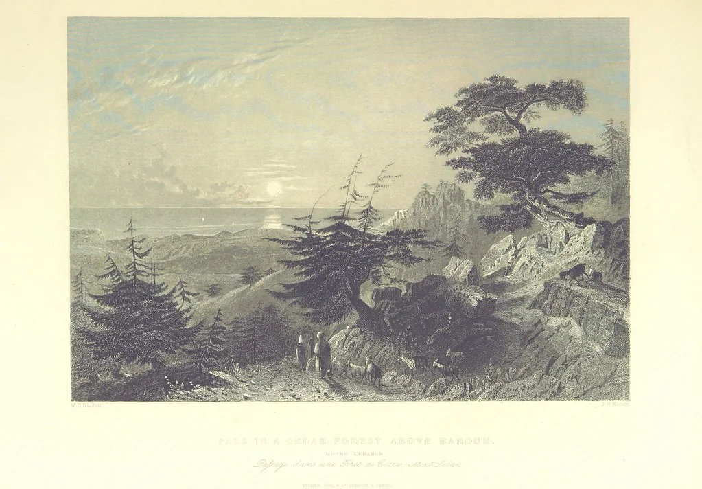 An illustration from Syria, the Holy Land, Asia Minor, &c., illustrated. In a series of views drawn from nature by W. H. Bartlett, William Purser (Thomas Allom), &c. With descriptions of the plates by J. Carne. [With maps, 1853, leaf 159