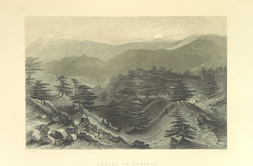 An illustration from Syria, the Holy Land, Asia Minor, &c., illustrated. In a series of views drawn from nature by W. H. Bartlett, William Purser (Thomas Allom), &c. With descriptions of the plates by J. Carne. [With maps, 1861, leaf 33