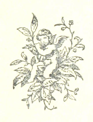An illustration from Del Atlántico al Pacífico y un Argentino en Europa. Cartas de viaje, etc, 1890, leaf 231