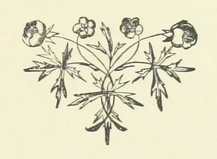 An illustration from Society's Queen. A novel, 1883, leaf 151