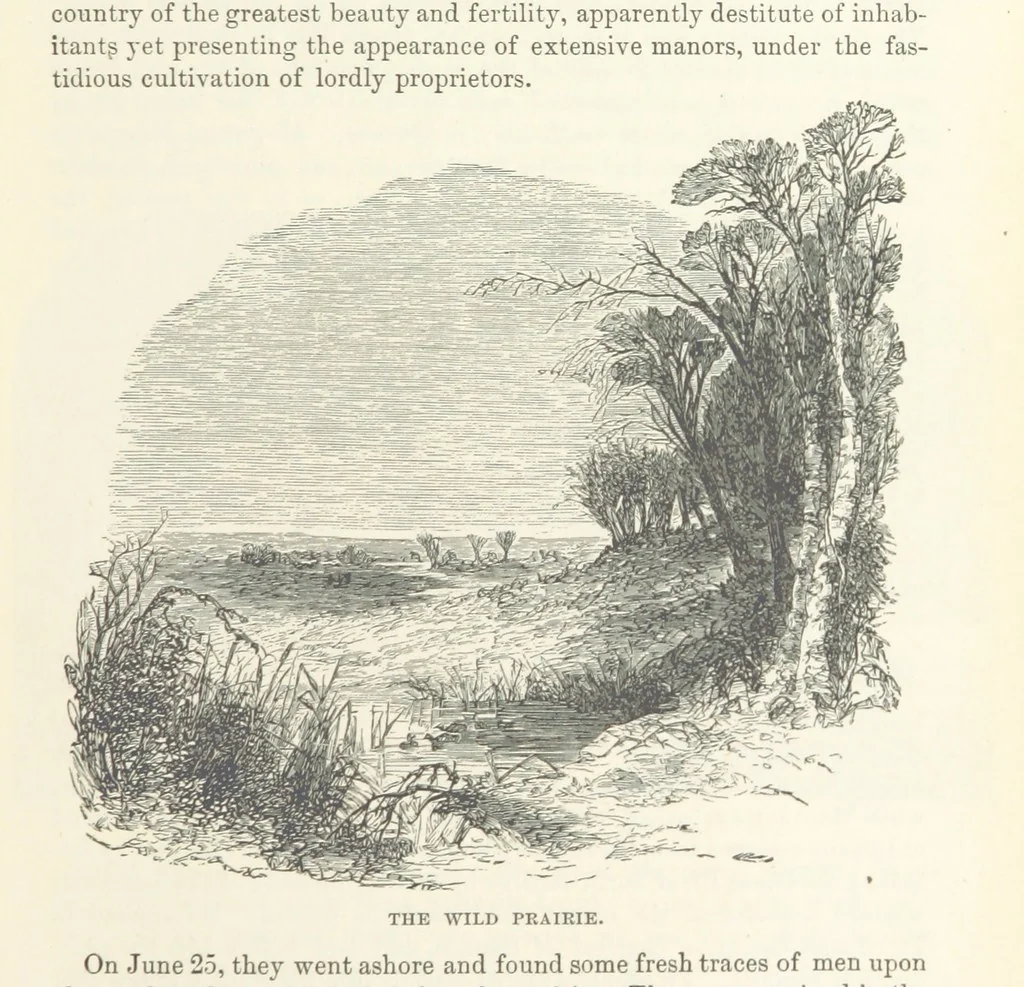 An illustration from The History of Cedar County, Iowa ... Illustrated, 1878, leaf 21