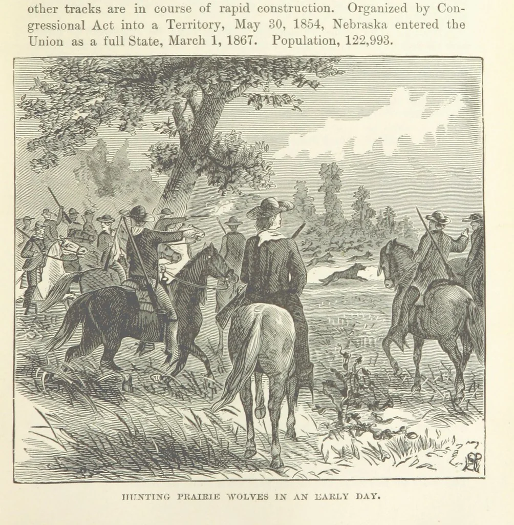 An illustration from The History of Cedar County, Iowa ... Illustrated, 1878, leaf 249