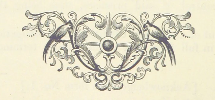 An illustration from The History of Cedar County, Iowa ... Illustrated, 1878, leaf 300