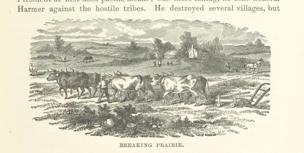 An illustration from The History of Cedar County, Iowa ... Illustrated, 1878, leaf 61