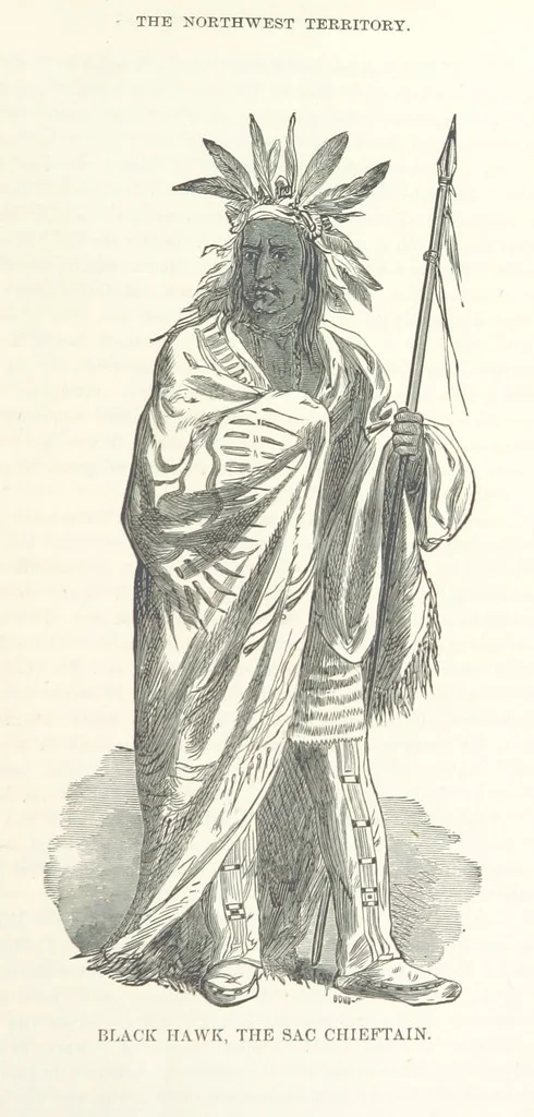 An illustration from The History of Cedar County, Iowa ... Illustrated, 1878, leaf 73