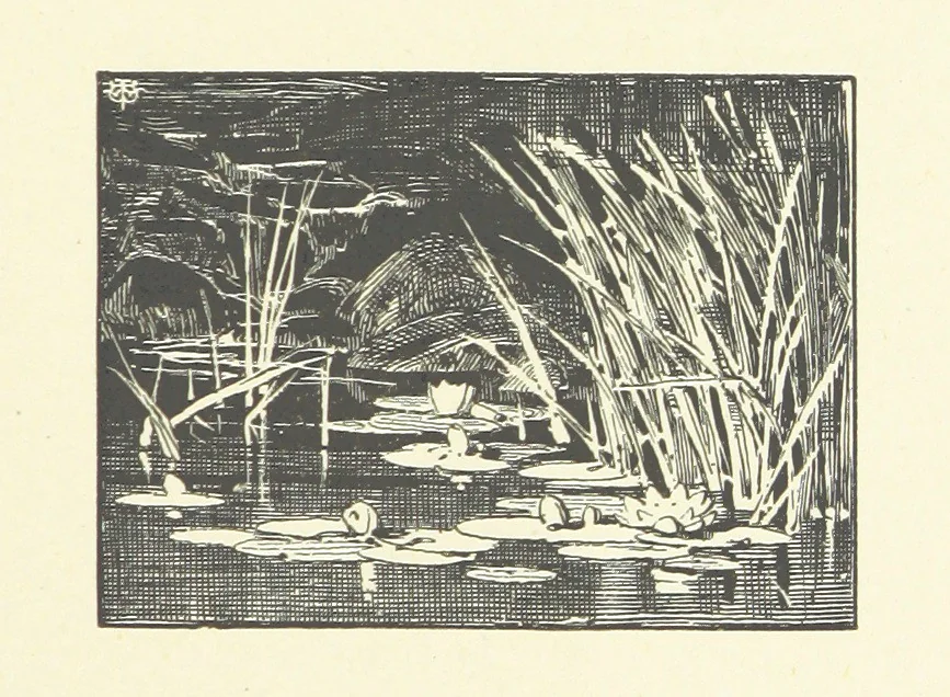 An illustration from Logroño. A metric drama in two acts ... With twenty-nine illustrations by T. Walter Wilson, 1877, leaf 59