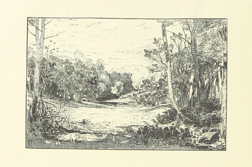 An illustration from Logroño. A metric drama in two acts ... With twenty-nine illustrations by T. Walter Wilson, 1877, leaf 60