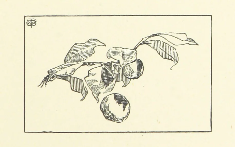 An illustration from Logroño. A metric drama in two acts ... With twenty-nine illustrations by T. Walter Wilson, 1877, leaf 75