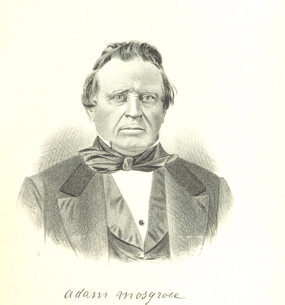 An illustration from The History of Champaign County, Ohio, containing a history of the county [by J. W. Ogden] ... history of Ohio, etc., etc. Illustrated, 1881, leaf 129