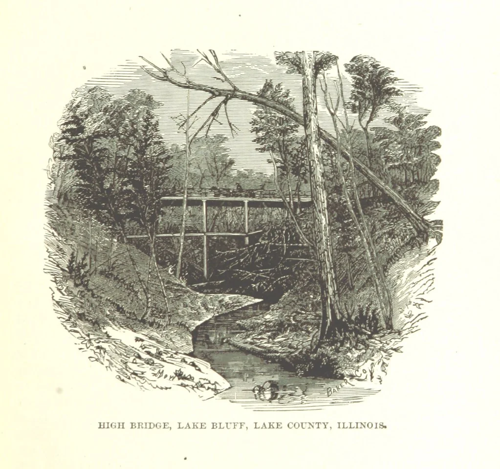An illustration from The History of Champaign County, Ohio, containing a history of the county [by J. W. Ogden] ... history of Ohio, etc., etc. Illustrated, 1881, leaf 29