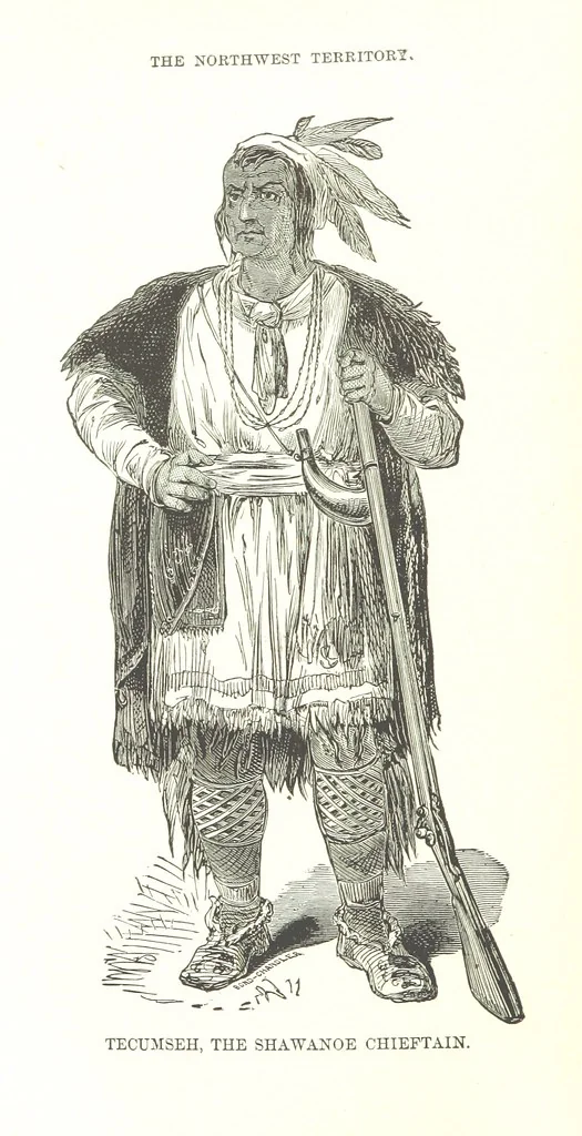 An illustration from The History of Champaign County, Ohio, containing a history of the county [by J. W. Ogden] ... history of Ohio, etc., etc. Illustrated, 1881, leaf 64