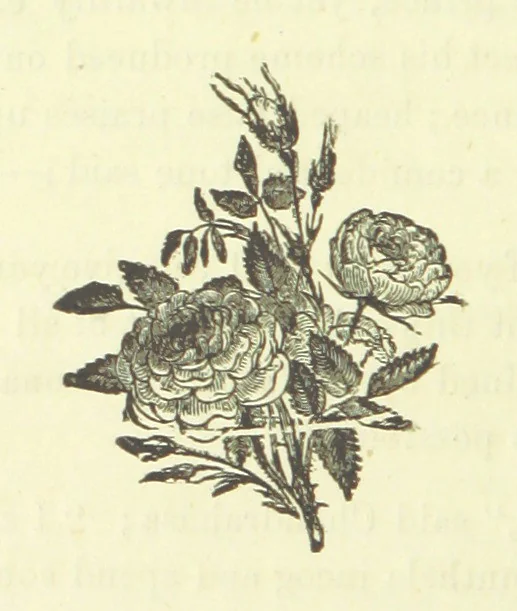 An illustration from Chandrahāsa. An ancient Indian monarch. A romance, 1881, leaf 72