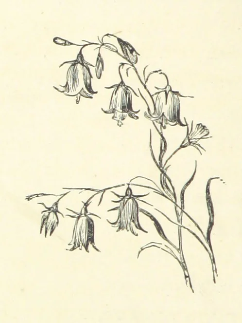 An illustration from More Precious than Gold, 1889, leaf 10