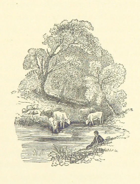 An illustration from More Precious than Gold, 1889, leaf 137