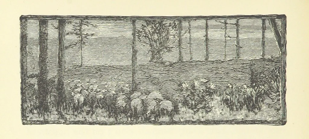 An illustration from More Precious than Gold, 1889, leaf 138