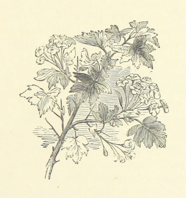 An illustration from More Precious than Gold, 1889, leaf 149