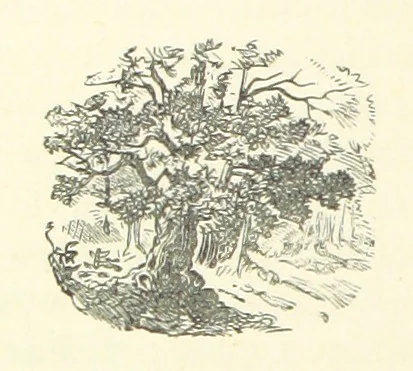 An illustration from More Precious than Gold, 1889, leaf 162