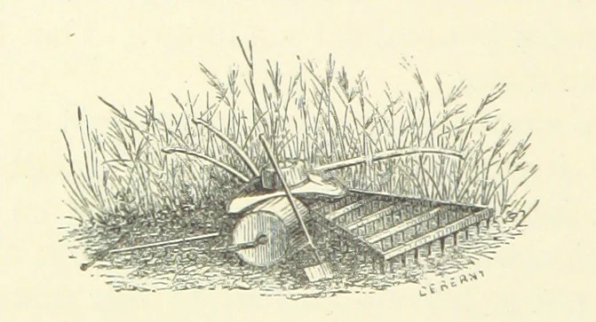 An illustration from More Precious than Gold, 1889, leaf 186