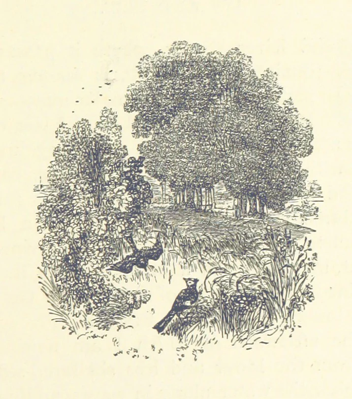 An illustration from More Precious than Gold, 1889, leaf 21
