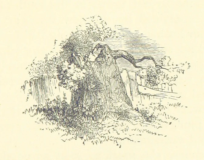 An illustration from More Precious than Gold, 1889, leaf 259