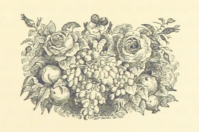 An illustration from More Precious than Gold, 1889, leaf 307
