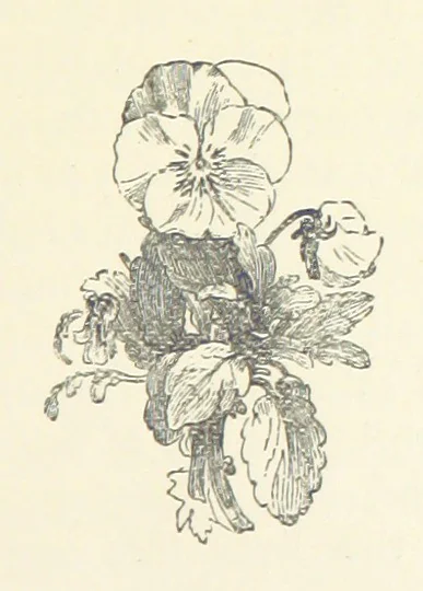 An illustration from More Precious than Gold, 1889, leaf 87