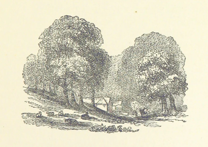 An illustration from More Precious than Gold, 1889, leaf 99