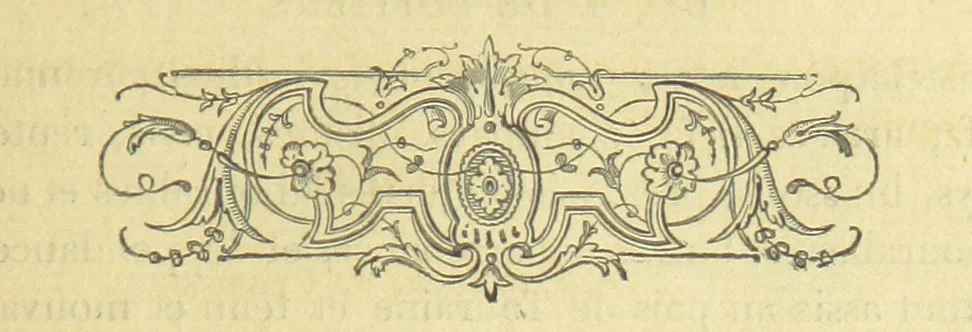 An illustration from Archives du château de Chenonceau. Diane de Poitiers au Conseil du Roi. Épisode de l'histoire de Chenonceau sous François Ier et Henry II, 1532-1556 ... Publié ... avec une introduction par M. l'abbé C. Chevalier, 1866, leaf 107
