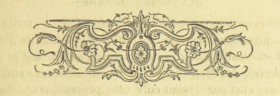 An illustration from Archives du château de Chenonceau. Diane de Poitiers au Conseil du Roi. Épisode de l'histoire de Chenonceau sous François Ier et Henry II, 1532-1556 ... Publié ... avec une introduction par M. l'abbé C. Chevalier, 1866, leaf 117