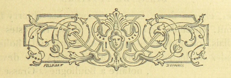 An illustration from Archives du château de Chenonceau. Diane de Poitiers au Conseil du Roi. Épisode de l'histoire de Chenonceau sous François Ier et Henry II, 1532-1556 ... Publié ... avec une introduction par M. l'abbé C. Chevalier, 1866, leaf 131