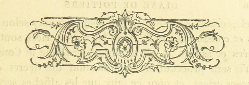 An illustration from Archives du château de Chenonceau. Diane de Poitiers au Conseil du Roi. Épisode de l'histoire de Chenonceau sous François Ier et Henry II, 1532-1556 ... Publié ... avec une introduction par M. l'abbé C. Chevalier, 1866, leaf 163