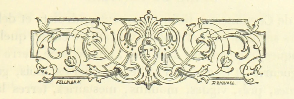 An illustration from Archives du château de Chenonceau. Diane de Poitiers au Conseil du Roi. Épisode de l'histoire de Chenonceau sous François Ier et Henry II, 1532-1556 ... Publié ... avec une introduction par M. l'abbé C. Chevalier, 1866, leaf 175